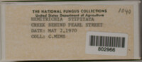 Image Associated With the Occurence